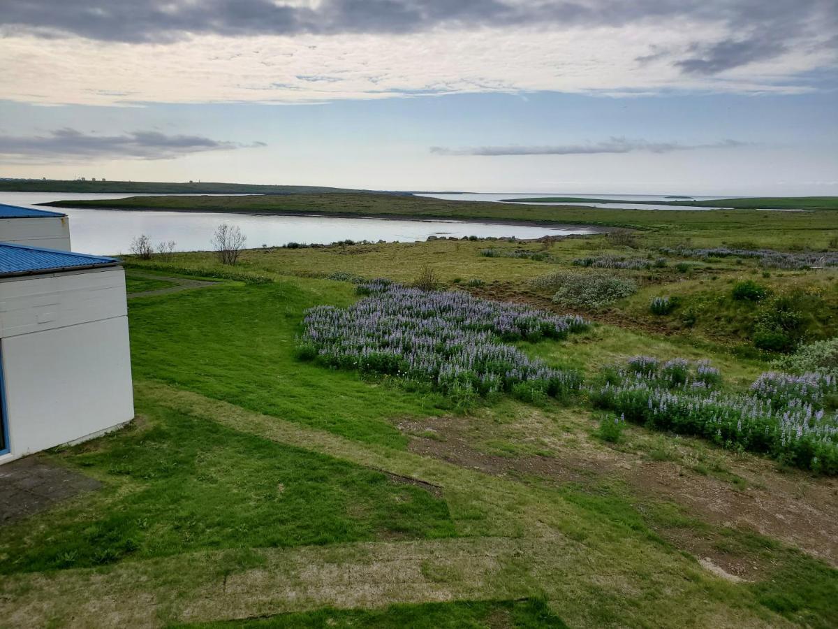 Vithines Gasthuis Reykjavík
