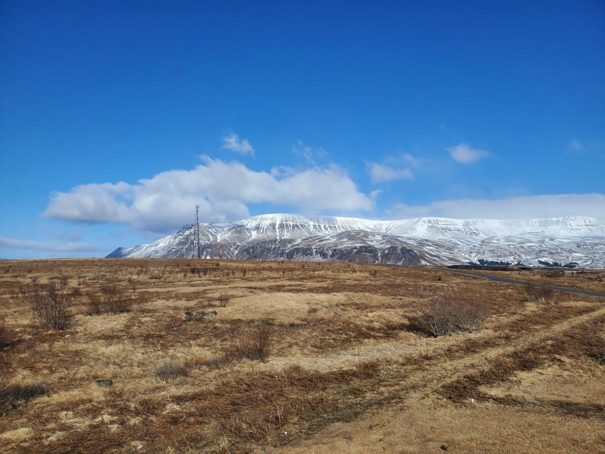 Vithines Gasthuis Reykjavík